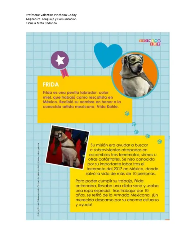 Perros con historia- Guía de Aprendizaje