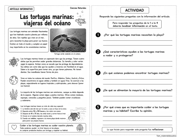 Textos no literarios 2°básico