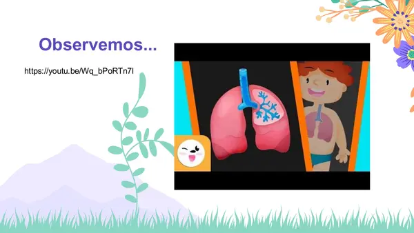 Modelo simple del proceso de la respiración 2° Básico