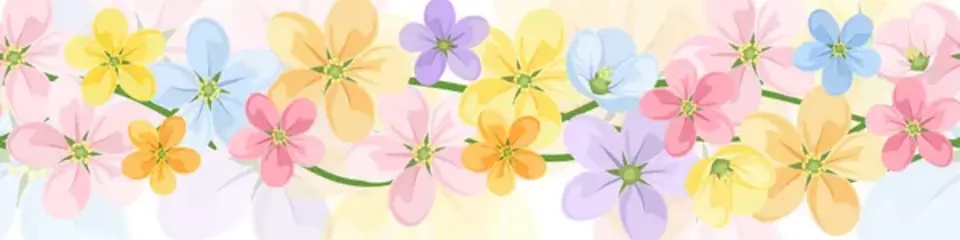 Alejandra Maccías - @alejandra.maccias cover photo