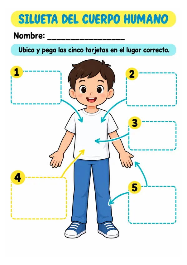 Silueta Cuerpo Humano