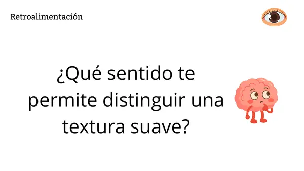 "LOS SENTIDOS" 