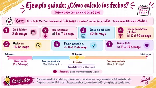 7MO OA 2 - CICLO MENSTRUAL 