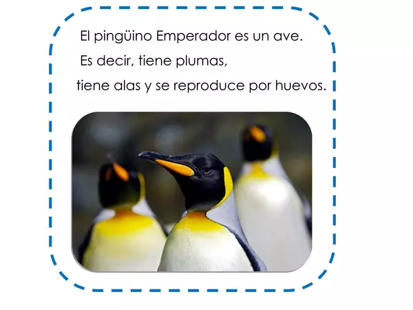 Lectura oral:  El pingüino emperador