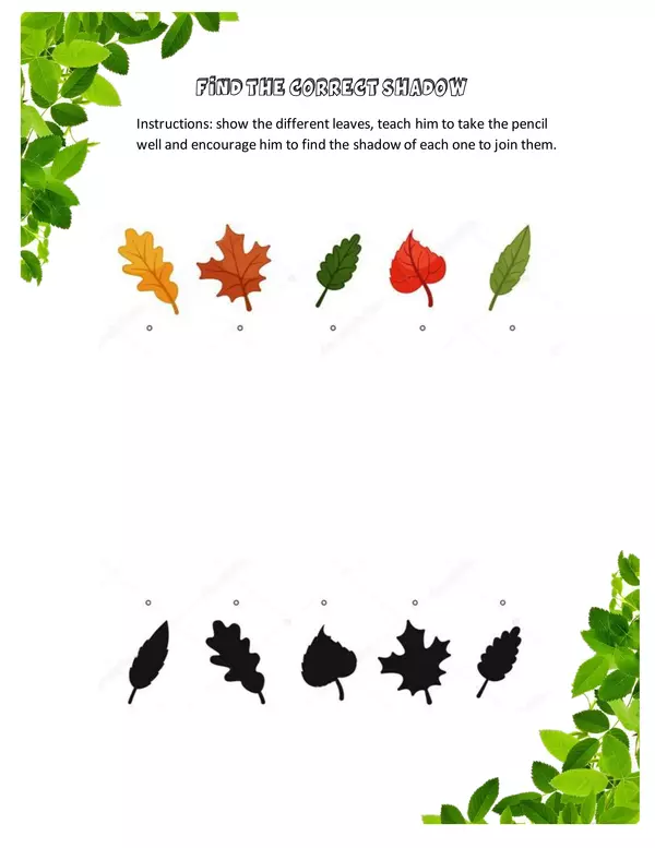 Find the correct shadow - leaf