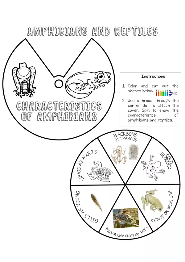 Amphibians and reptiles wheel