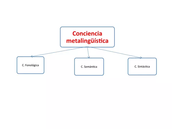 Conciencia metalingüística 