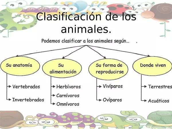 Describiendo las características de los animales.