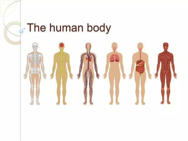 PPT Introduction to Human Body