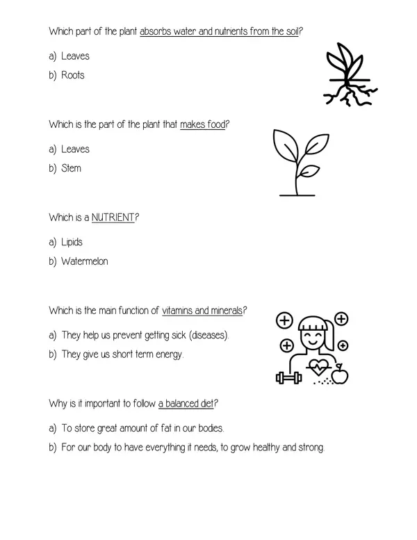 Plants and Healthy Lifestyle Test 2nd version.