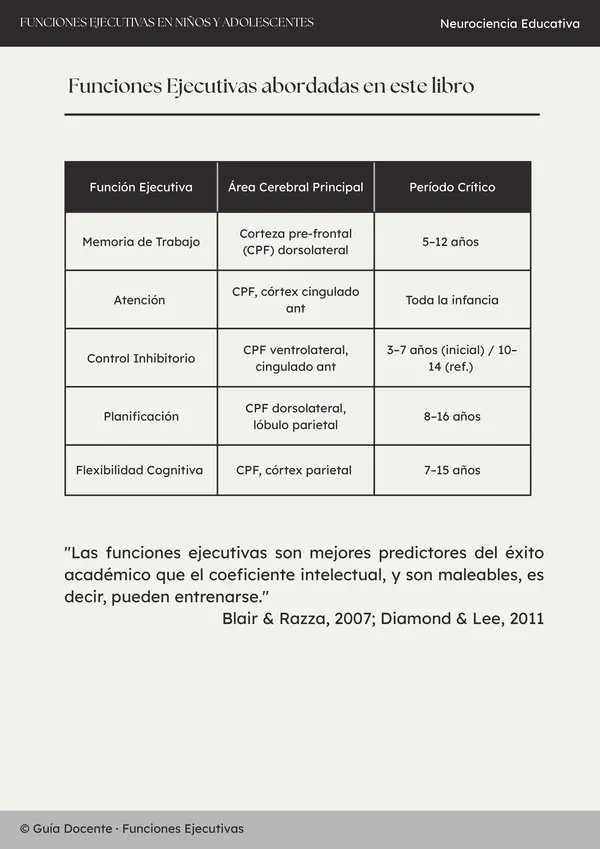 Ebook Funciones ejecutivas en niños y adolescentes