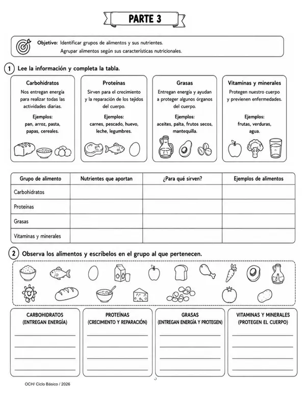 Guía OA5 Nutrición y Alimentación Saludable 5° Básico Ciencias Naturales