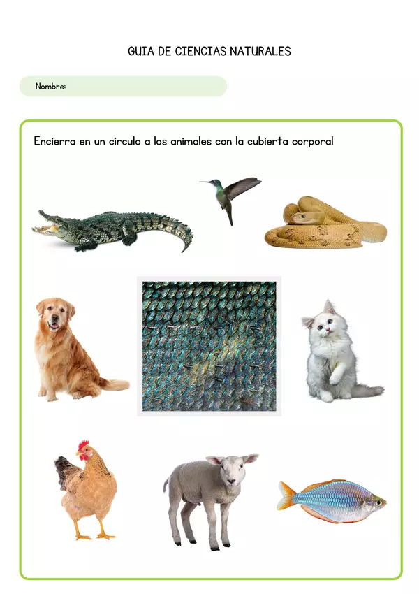 Guía cubierta corporal de animales
