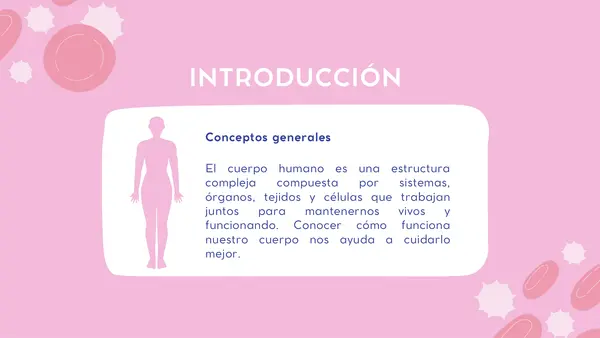 Cuerpo humano