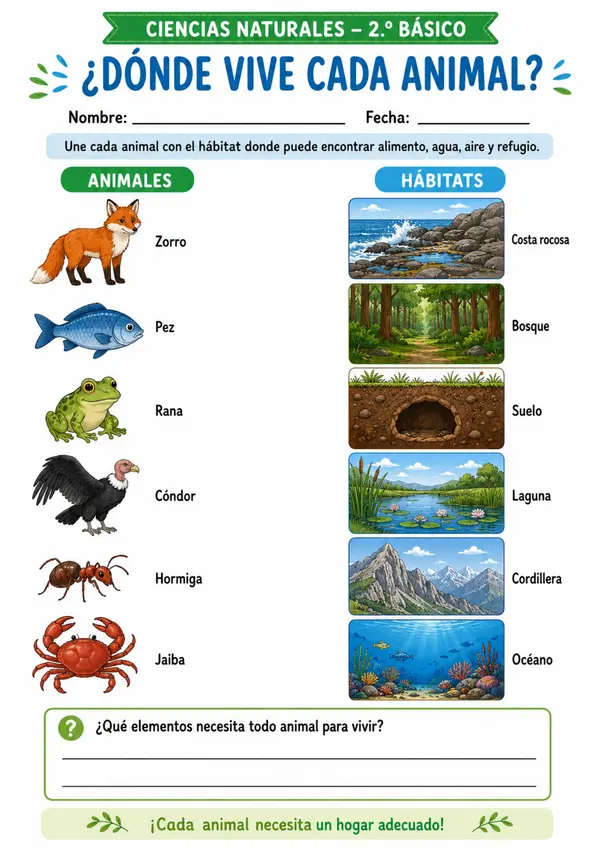 Unidad 2: Ciclos de vida, hábitats y animales invertebrados