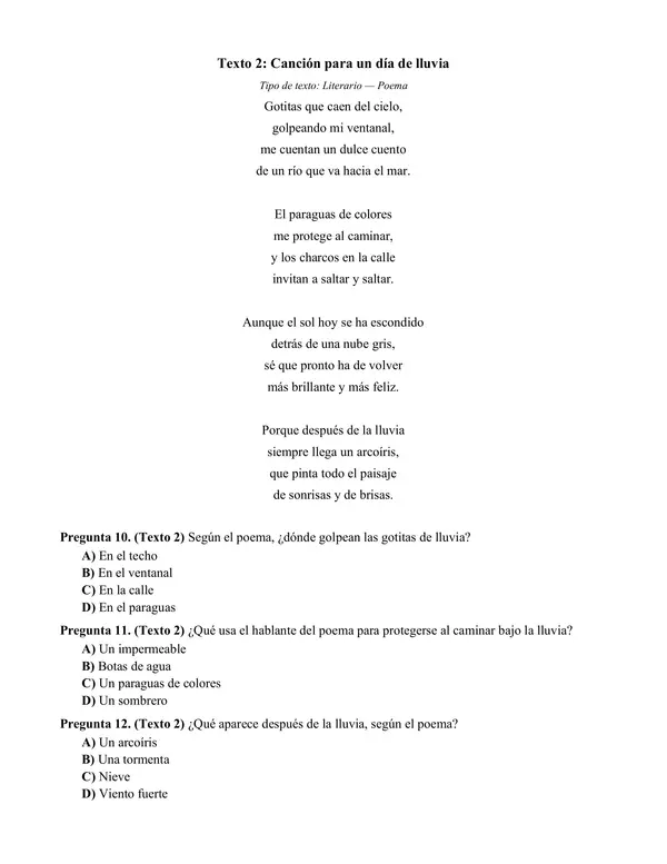 Ensayo simce n°2 