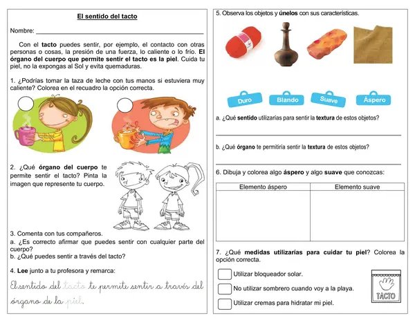 Guía 1° básico "El sentido del tacto"