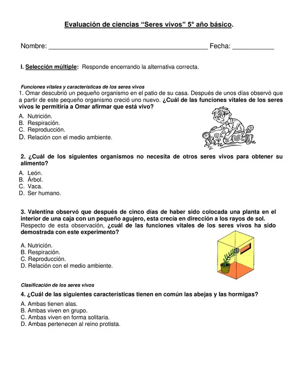 Evaluación de ciencias 5° año "Seres vivos".