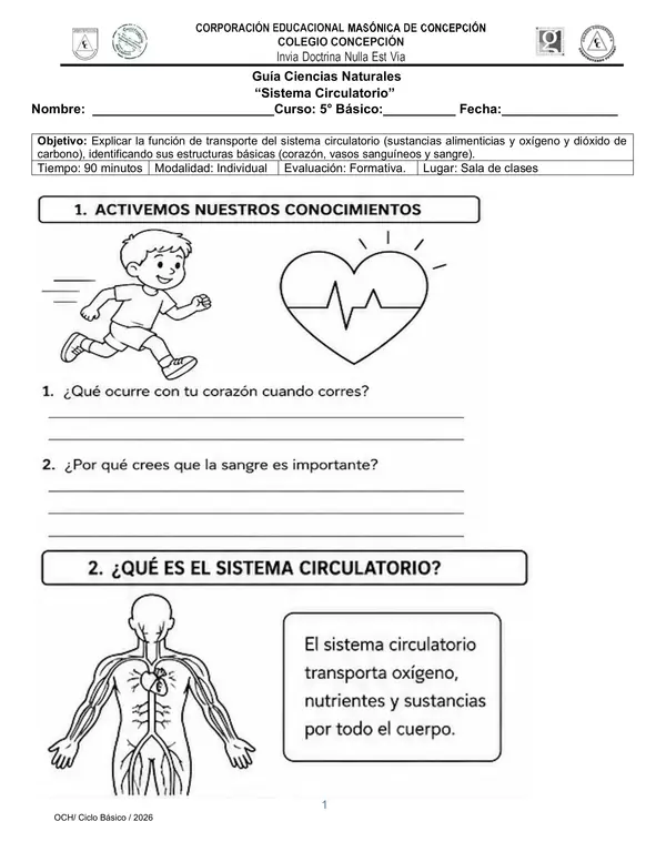 Guía Sistema Circulatorio | Ciencias Naturales 5° Básico