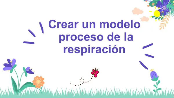Modelo simple del proceso de la respiración 2° Básico