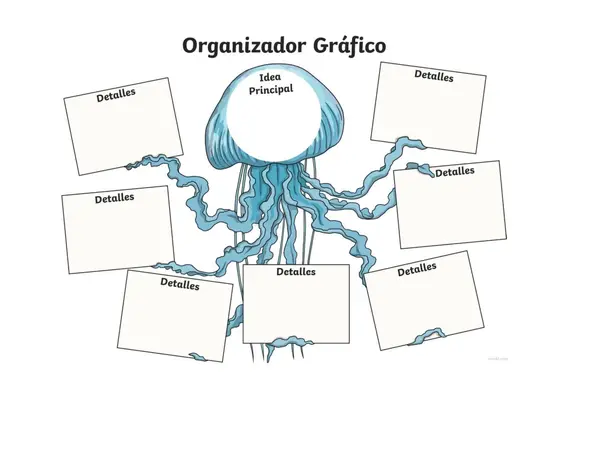Organizadores gráficos