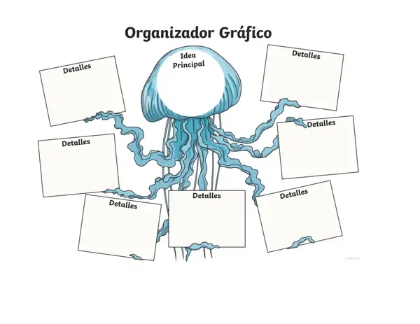 Organizadores gráficos