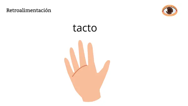 "LOS SENTIDOS" 