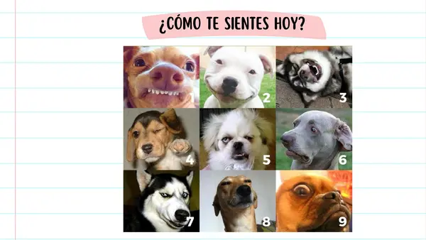 Clase: Acciones de los personajes