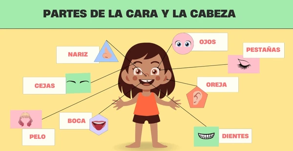 VOCABULARIO DE CARA Y CABEZA