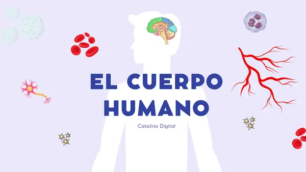 Cuerpo humano