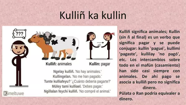 Presentación "Los distintos animales en mapuzugun" Fillke Kullin