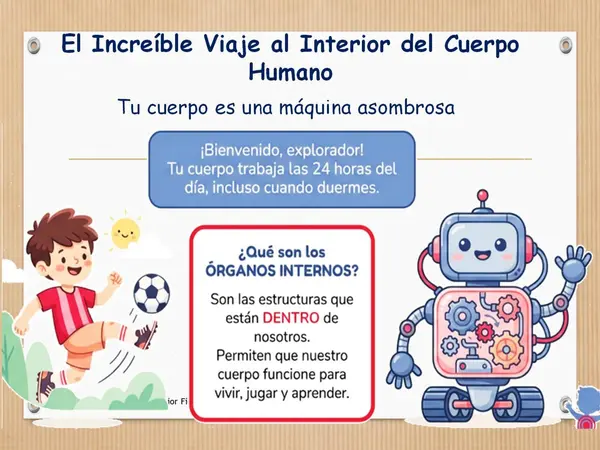 Ppt: Órganos del cuerpo Humano, 2° Básico (OA7)