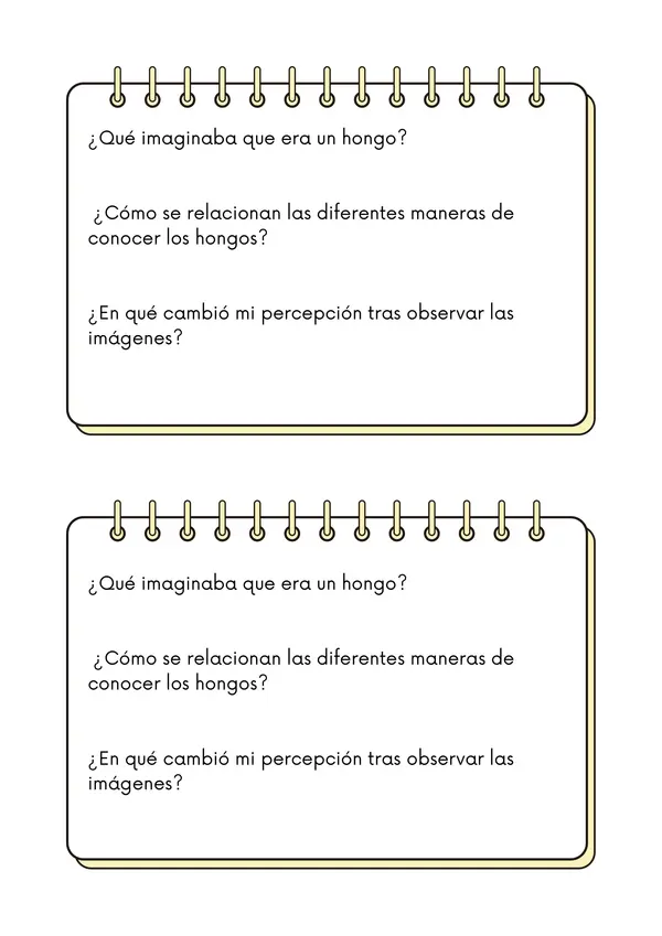 Bitácora clase 1 hongos