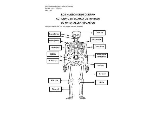 ciencia naturales