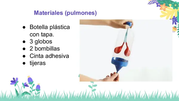 Modelo simple del proceso de la respiración 2° Básico