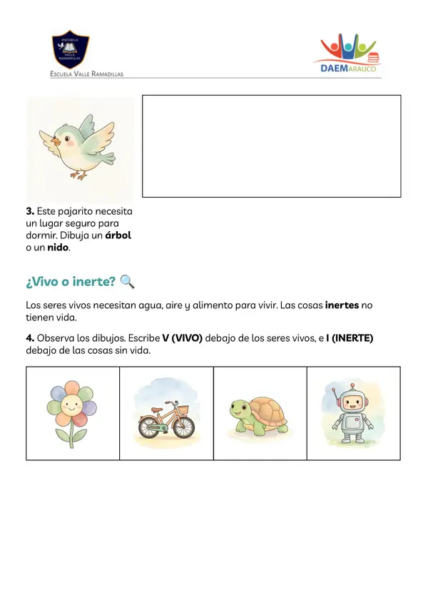 Características de los seres vivos 1° Ciencias
