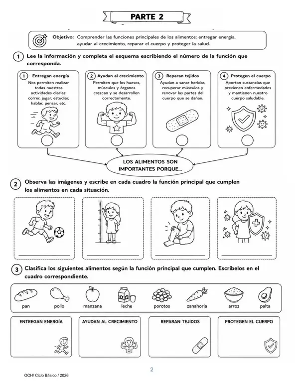 Guía OA5 Nutrición y Alimentación Saludable 5° Básico Ciencias Naturales
