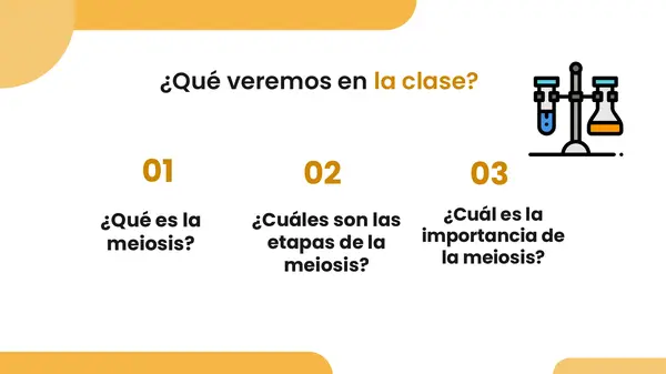 Los efectos de la meiosis en la variabilidad 