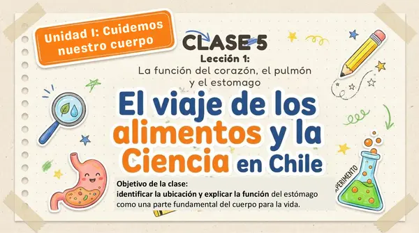 Clase 5 Lección 1 Unidad 1 "Cuidemos nuestro cuerpo" Función del estomago - 2° Básico