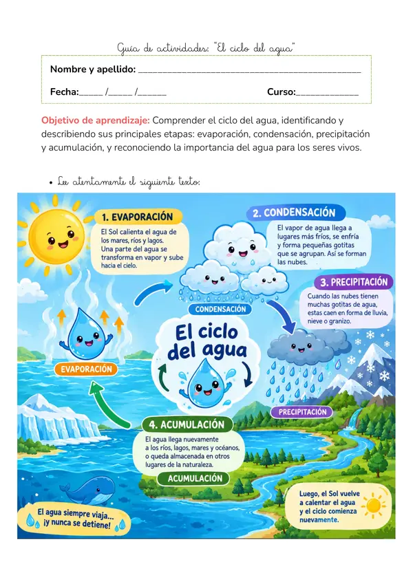 Guía Ilustrada: El Ciclo del Agua (Lectura, Esquema y Actividades)