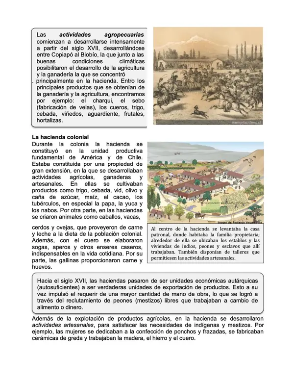 Economía en la epoca colonial