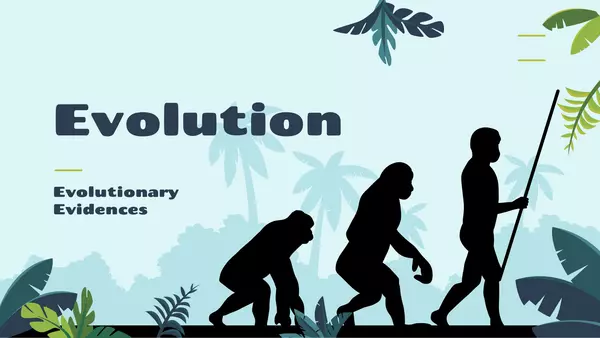PPT Evidences of Evolution