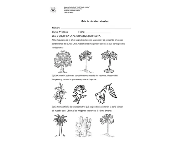 animales y plantas chilenas 