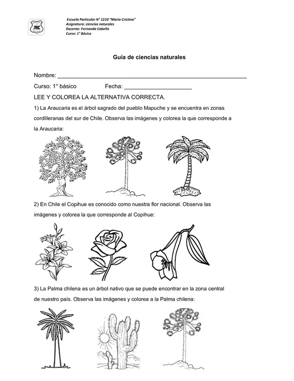 animales y plantas chilenas 