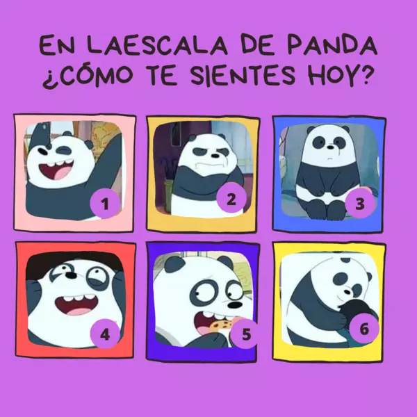 ¿Cómo te sientes hoy? Panda