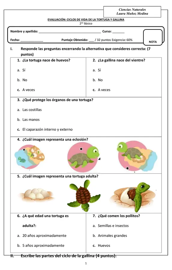 Evaluación de ciencias, ciclo de vida de la tortuga y gallina