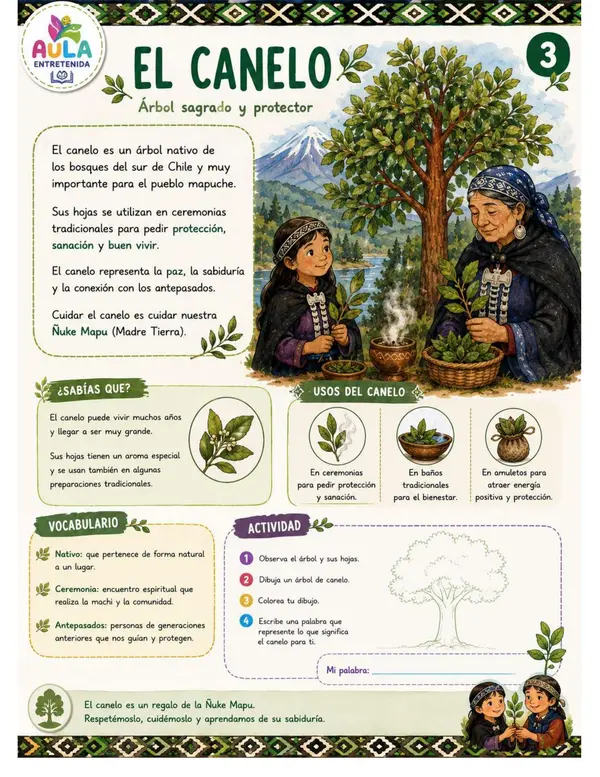 Medicina Mapuche 
