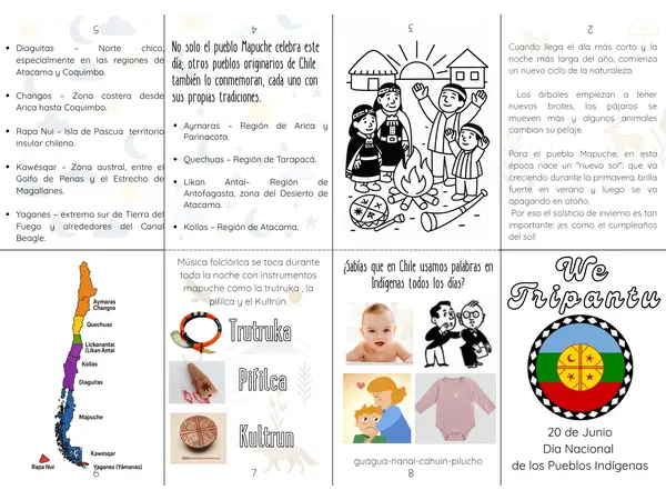 FANZINE 20 DE JUNIO dia de los pueblos indigenas CHILE
