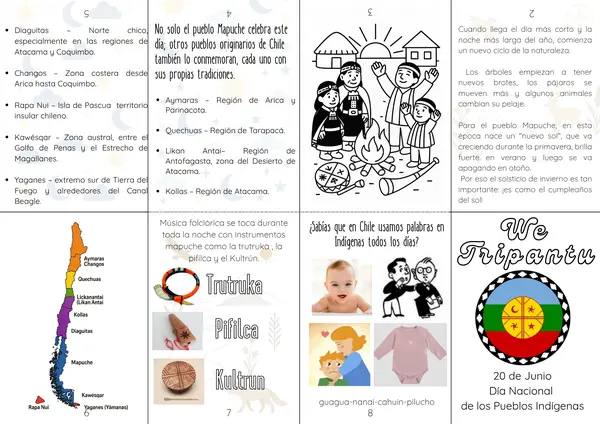 FANZINE 20 DE JUNIO dia de los pueblos indigenas CHILE