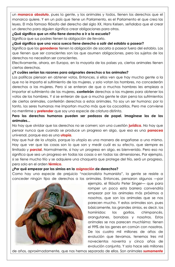 Guía de trabajo - Entrevistas reflexión y análisis - 8° 